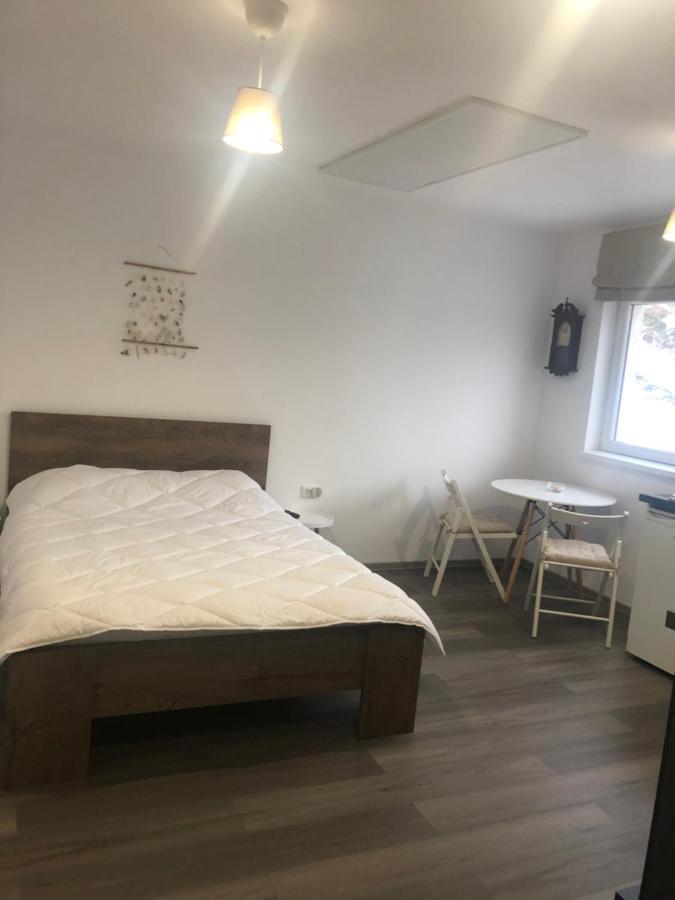 Garsoniera La Munte Apartment Azuga Ngoại thất bức ảnh