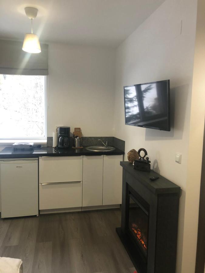 Garsoniera La Munte Apartment Azuga Ngoại thất bức ảnh